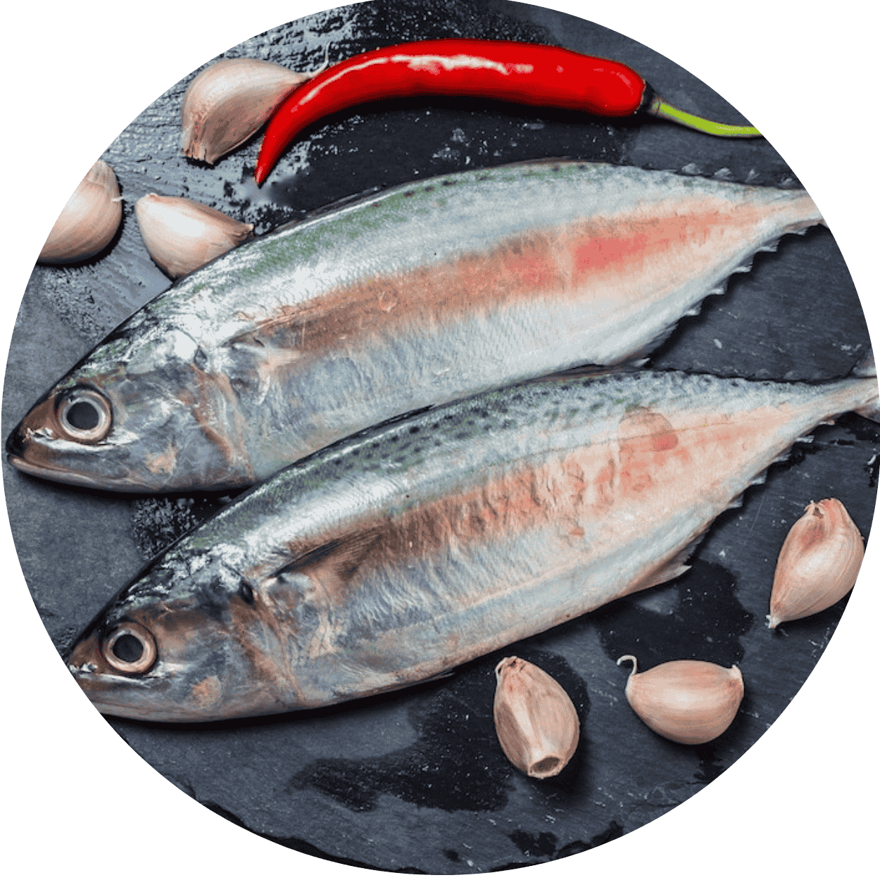 Indian Mackerel Fish (Bangda)
