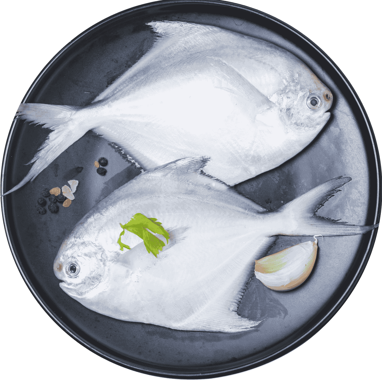 Pomfret Fish