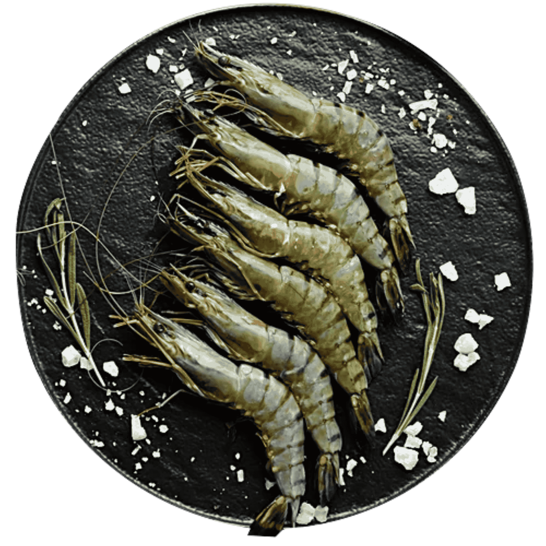 Tiger Prawns